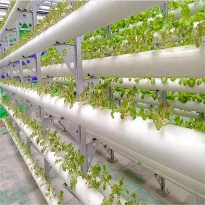 63 mm 75 mm Witte kleur Ronde PVC-pijp Hydroponisch systeem met B2B-koperbehoeften in gedachten