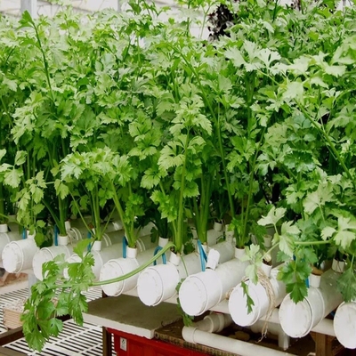 Standaard dikte ronde pvc-buizen hydroponisch nft-systeem voor tuinbouw