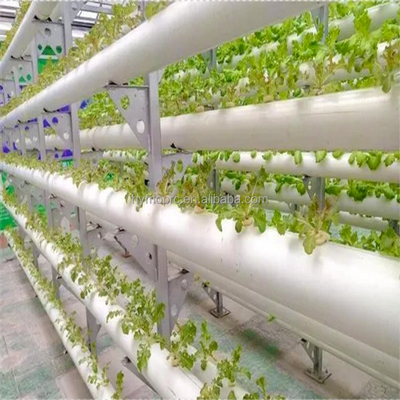 1/2&quot;-12&quot; Diameter Wit Kleur 90mm 110mm PVC Pipe voor Hydroponics Salad Plant