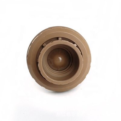 Plastic Valve 1 inch Bruin Kleur Verticale PVC Ball Check Valve met druk 1.0MPA